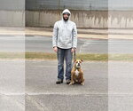 Small #5 Boxer Mix