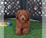 Image preview for Ad Listing. Nickname: Darla