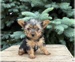 Image preview for Ad Listing. Nickname: Jinger