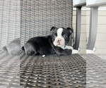 Image preview for Ad Listing. Nickname: Girl 1