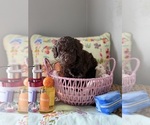 Image preview for Ad Listing. Nickname: Luke Skywalker