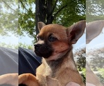 Image preview for Ad Listing. Nickname: Maverick