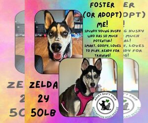 - Mix Dogs for adoption in Crystal, MN, USA