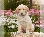 Image preview for Ad Listing. Nickname: Crissy