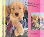 Image preview for Ad Listing. Nickname: Kiara