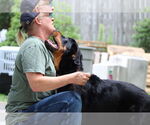 Small #2 Rottweiler Mix