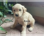 Image preview for Ad Listing. Nickname: Kaya