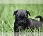 Image preview for Ad Listing. Nickname: Hive
