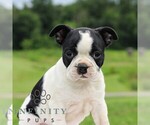 Image preview for Ad Listing. Nickname: Shania