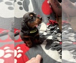 Image preview for Ad Listing. Nickname: Lime girl