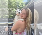 Small #26 Great Pyrenees Mix