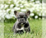 Image preview for Ad Listing. Nickname: George