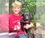 Small #1 Mutt