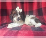 Image preview for Ad Listing. Nickname: Scarlett