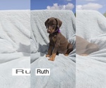 Image preview for Ad Listing. Nickname: Ruth