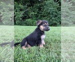 Image preview for Ad Listing. Nickname: Hazel