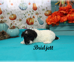 Image preview for Ad Listing. Nickname: Bridjett