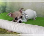 Image preview for Ad Listing. Nickname: Princess