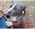 Image preview for Ad Listing. Nickname: Red Male
