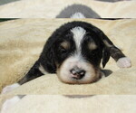 Image preview for Ad Listing. Nickname: BOY 2