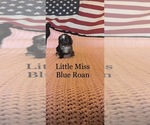 Image preview for Ad Listing. Nickname: Little Miss
