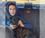 Small #2 Mutt