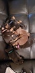 Small Photo #10 Doberman Pinscher Puppy For Sale in INWOOD, IN, USA