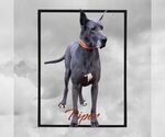 Small #2 Breeder Profile image