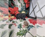  - Photo #7