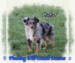 Image preview for Ad Listing. Nickname: Seeker