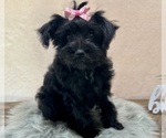 Image preview for Ad Listing. Nickname: Nikki