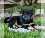 Image preview for Ad Listing. Nickname: Oden