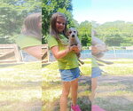 Small #6 Red Heeler Mix