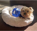 Small #1 Breeder Profile image