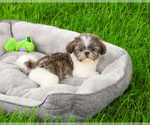Image preview for Ad Listing. Nickname: Aztec