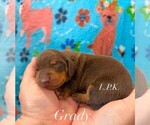 Image preview for Ad Listing. Nickname: Grady