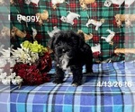 Image preview for Ad Listing. Nickname: Peggy