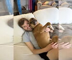 Small #4 Boxer Mix