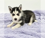 Image preview for Ad Listing. Nickname: Chrissy