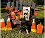 Image preview for Ad Listing. Nickname: Kendal