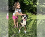 Small #4 Mutt