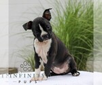 Image preview for Ad Listing. Nickname: Twinkles