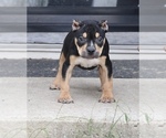 Image preview for Ad Listing. Nickname: Violet