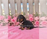 Image preview for Ad Listing. Nickname: Mini Marcy