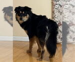 Small #3 Breeder Profile image
