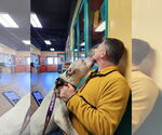 Small #7 American Pit Bull Terrier Mix