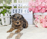 Image preview for Ad Listing. Nickname: COZUMEL