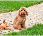 Image preview for Ad Listing. Nickname: Carson