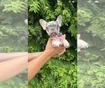 Image preview for Ad Listing. Nickname: Peanut