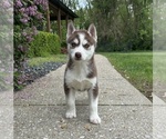 Image preview for Ad Listing. Nickname: Ella
